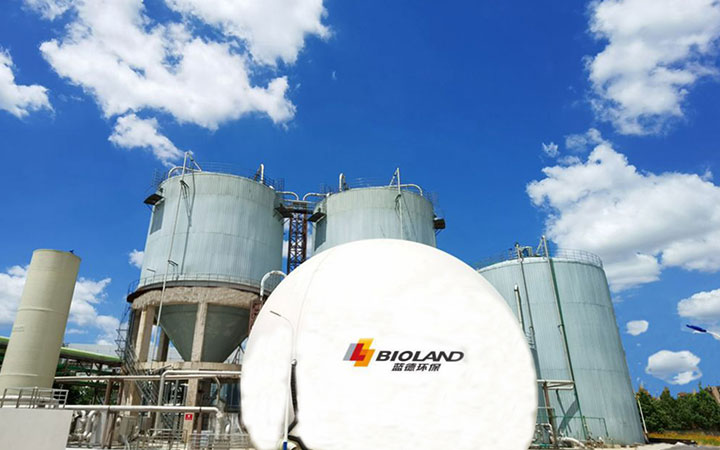 20250325115954_175371